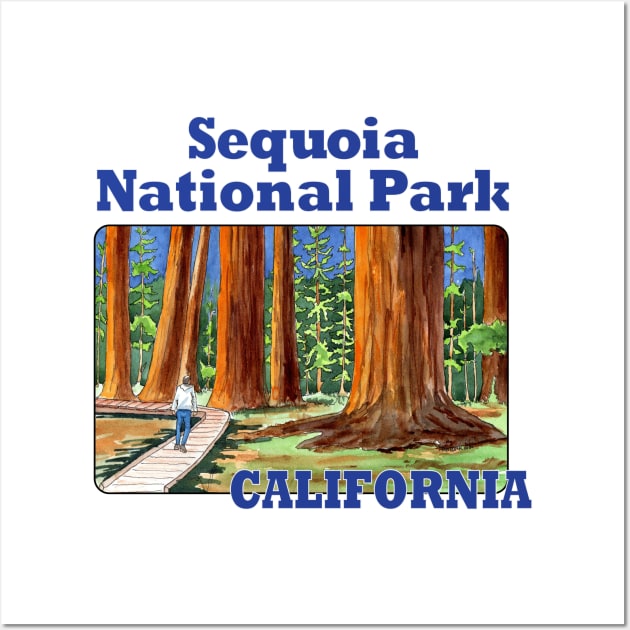 Sequoia National Park, California Wall Art by MMcBuck